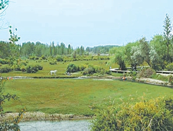 中經(jīng)評論：以發(fā)展“含綠量”提升增長(cháng)“含金量”